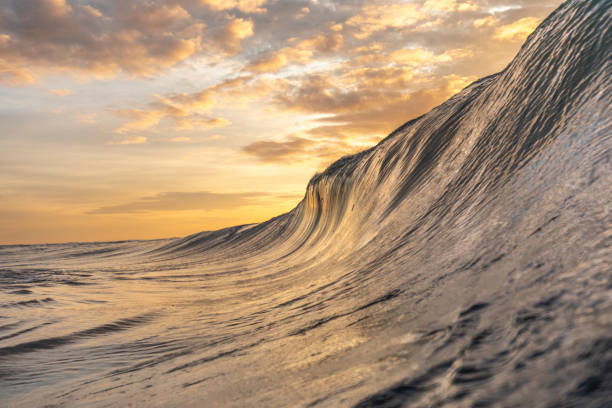 istock Bright golden sunset reflecting over the ocean with large wave forming 1439621203