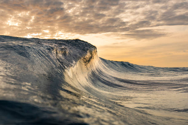 istock Golden sky with large vibrant spectacular ocean wave breaking 1439622770