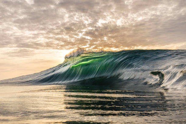 istock Golden sky with large vibrant spectacular ocean wave breaking 1439623120
