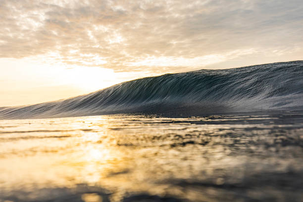 istock Bright golden sunset reflecting over the ocean with large wave forming 1439623273