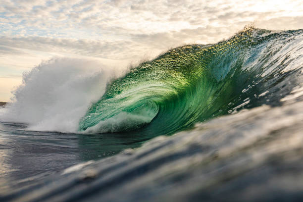 istock Golden sky with large vibrant spectacular ocean wave breaking 1439623434