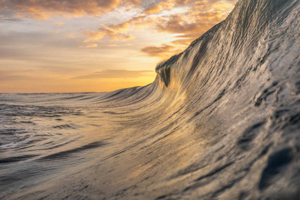 istock Bright golden sunset reflecting over the ocean with large wave forming 1439623552