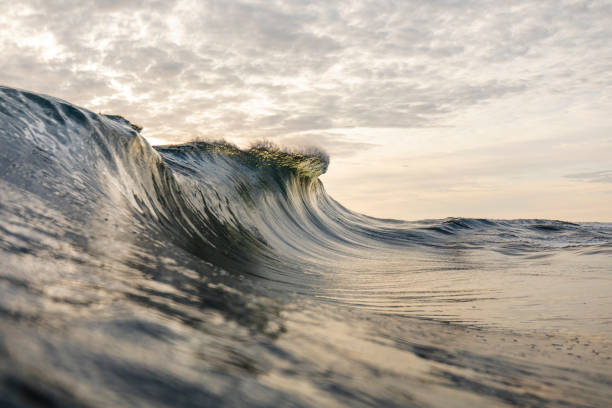 istock Bright golden sunset reflecting over the ocean with large wave forming 1439623648