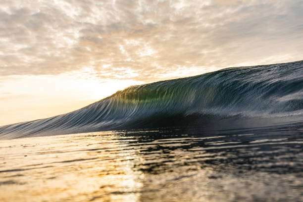 istock Bright golden sunset reflecting over the ocean with large wave forming 1439624895
