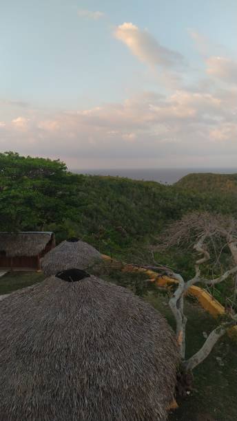 istock Privileged view of Cuban nature 1439625146