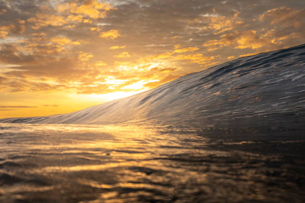 istock Bright golden sunset reflecting over the ocean with large wave forming 1439625357