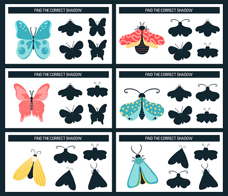 Insects, butterflies, moths. Find the right shadow, an educational game for kids. Vector illustration cartoon style