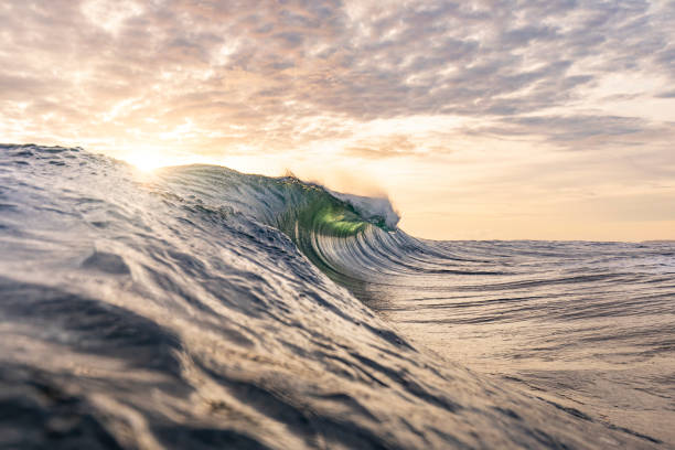 istock Bright golden sunset reflecting over the ocean with large wave forming 1439625638