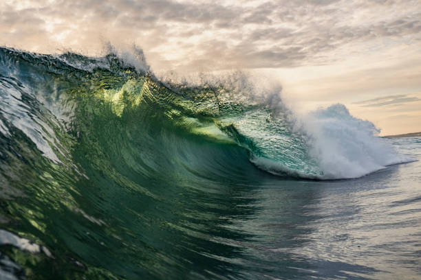 istock Golden sky with large vibrant spectacular ocean wave breaking 1439626611