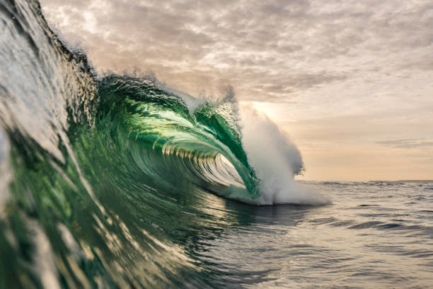 istock Golden sky with large vibrant spectacular ocean wave breaking 1439627520