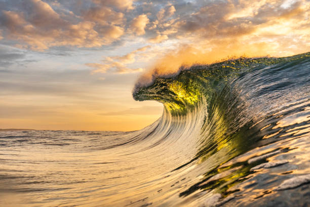 istock Bright golden sunset reflecting over the ocean with large perfect wave forming 1439627991