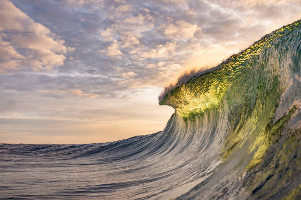 istock Bright golden sunset reflecting over the ocean with large perfect wave breaking 1439629552