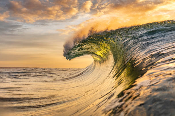 istock Bright golden sunset reflecting over the ocean with large perfect wave breaking 1439629813