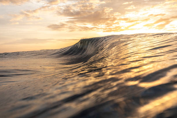 istock Bright golden sunset reflecting over the ocean with large wave forming 1439630530