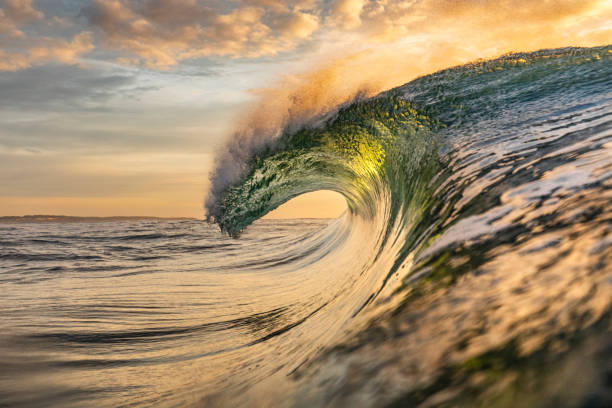 istock Bright golden sunset reflecting over the ocean with large perfect wave breaking 1439630789