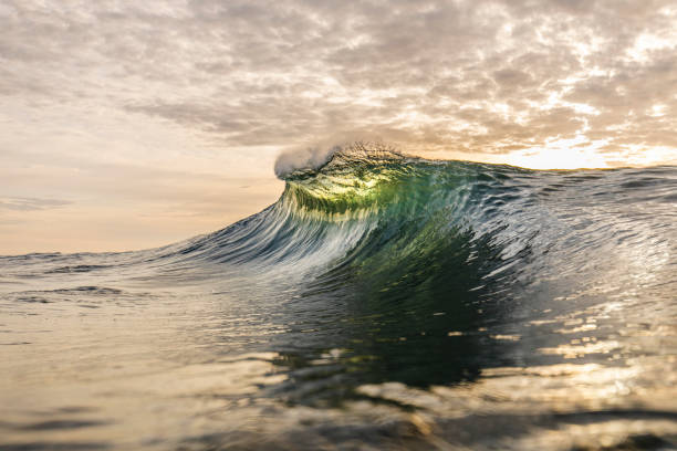 istock Bright golden sunset reflecting over the ocean with large perfect wave breaking 1439631366