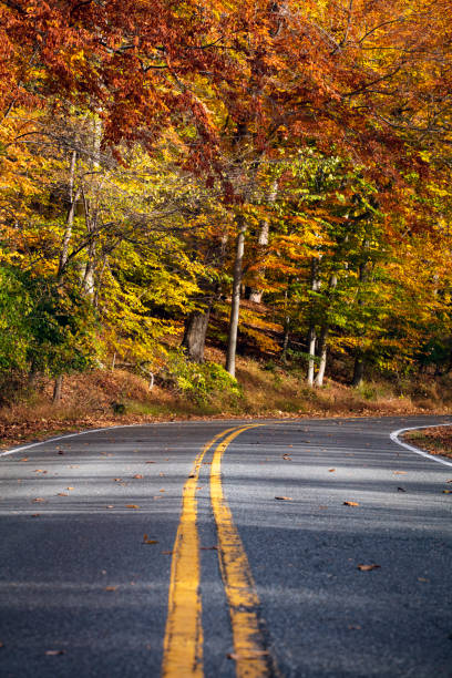 istock Country road in the fall 1439632993