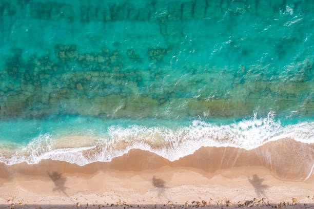 야자수 그림자가 있는 하얀 모래 해변에서 파도가 부서지는 아쿠아 해양 바다의 공중 전망 - waters edge nature water wave 뉴스 사진 이미지