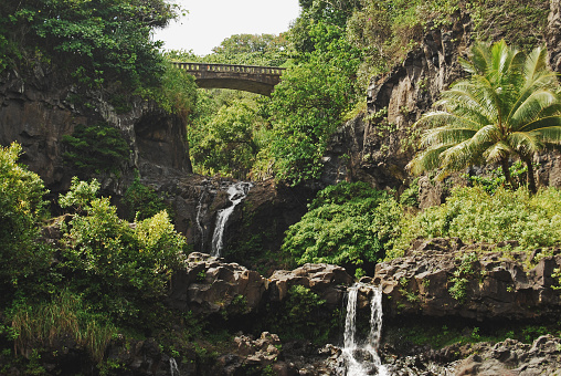 View of Hana waterfalls from the lagoon.  View of highway bridge above.   Lush foliage of Maui, Hawaii.