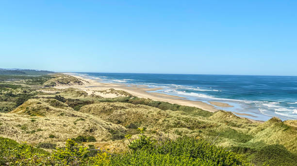 istock Oregon Coast near Florence, Oregon 1439640214