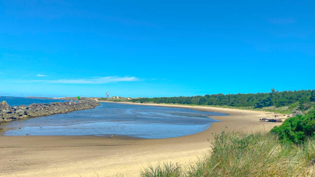 istock Oregon Coast near Florence, Oregon 1439640221