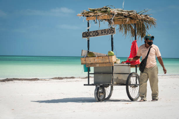 Selling coconuts on the beach, Mexico Isla Holbox, Yucatan, Mexico - April 11, 2021: A Hispanic man wearing a face mask and long pants sells fresh coconuts from a rustic thatched cart along the beach at the Gulf of Mexico. fruit cart vendor stock pictures, royalty-free photos & images