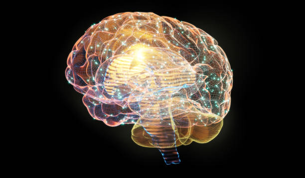 istock 3d illustration of wireframe digital human brain 1439643796