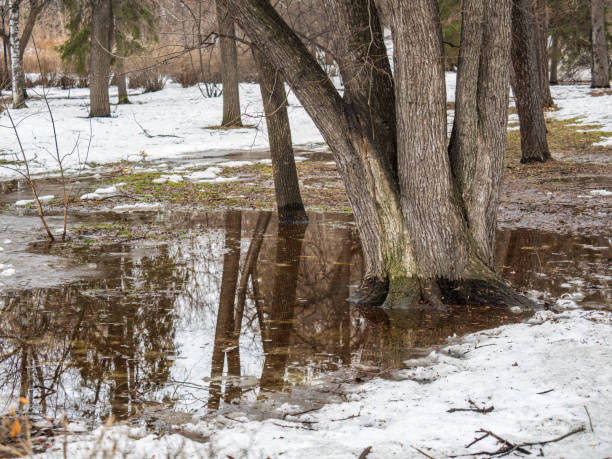 Melting snow. Puddle on the road. Spring city park. Spring is coming. Spring landscape, the last snow in secluded places. Bright sun melts the snow. Melt water from the snow.