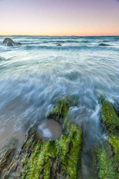 maré saindo em tweed heads - tide going out - fotografias e filmes do acervo