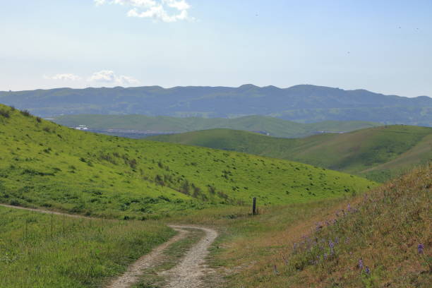 istock Hiking trail in the Diablo hills on a sunny spring day 1439648464