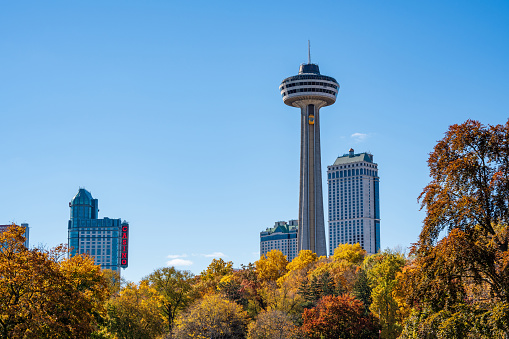 Niagara Falls City Tower skyline, autumn maple leaves over blue sky. Fall foliage in Niagara Falls City, Ontario, Canada.