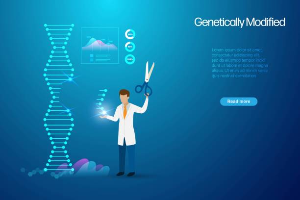 ilustraciones, imágenes clip art, dibujos animados e iconos de stock de adn genéticamente modificado, concepto de bioingeniería y biotecnología. el médico científico sostiene una tijera editando parte del adn para modificar el gen. - alimento genéticamente modificado