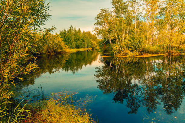 istock Autumn natural landscape near the forest river 1439654962