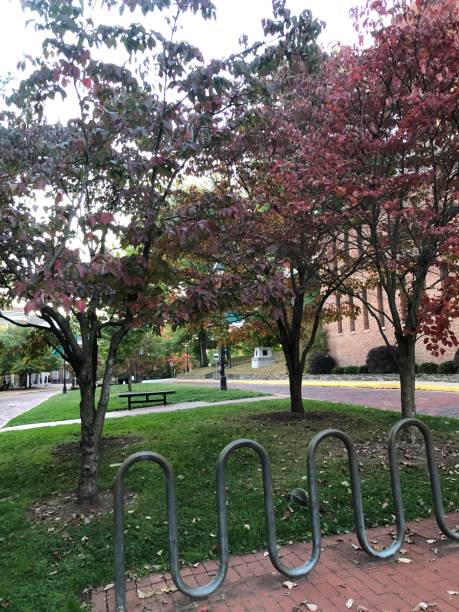 istock Campus Bike Rack Ohio University 1439655724