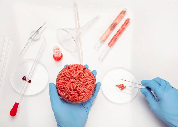 istock Petri dish with cultured meat in laboratory 1439660547
