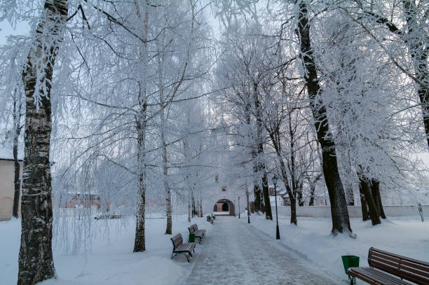 istock Beautiful trees with frosted branches. 1439661606