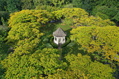 Aerial drone shot of Singapore Botanic Gardens