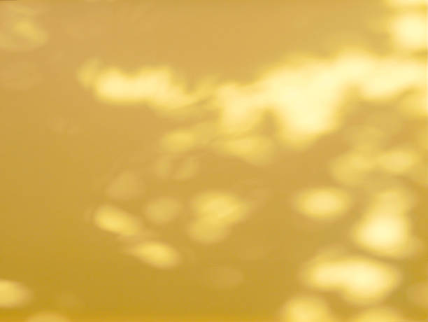istock Abstract shadow of leaves on yellow background 1439667517