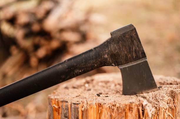 istock Detail of axe. chops tree in wood with sharp ax 1439670545