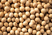 High angle view shot of soybeans for background material.