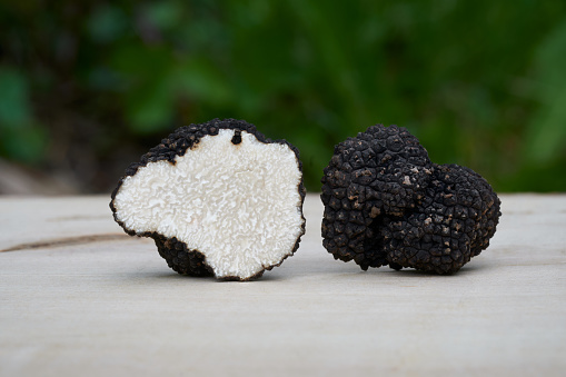 Young black truffle (tuber aestivum) - mushrooms with