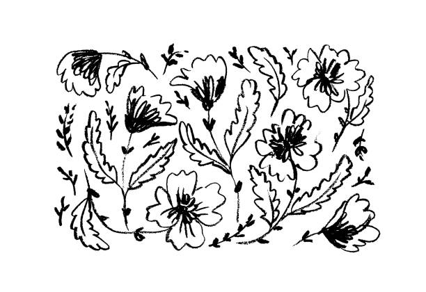 Abstract vector contour flowers set. Abstract vector contour flowers set. Hand drawn doodle style chrysanthemums. Pencil drawing daisy heads in bloom with leaves and stems. Hand drawn black flowers in sketch style isolated on white. pen and ink stock illustrations