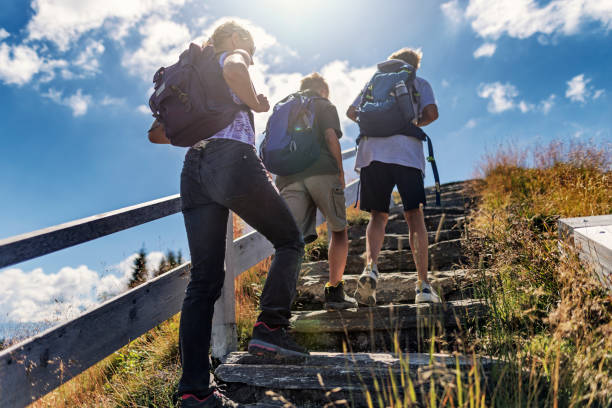 tres adolescentes haciendo senderismo en los alpes en un soleado día de verano - group of people journey effort travel destinations fotografías e imágenes de stock