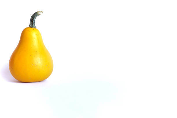 istock Ornamental pumpkin on a white background. 1439684798