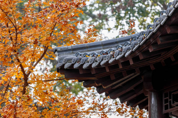 istock Red leaves in autumn 1439684894