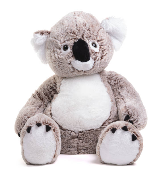 istock Large plush koala toy isolated 1439684993