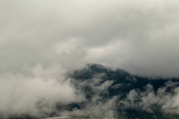 istock View of the forest mountains and cloud 1439686270