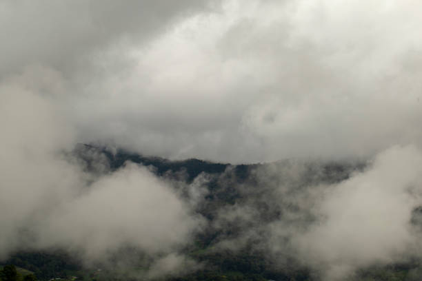 istock View of the forest mountains and cloud 1439686271