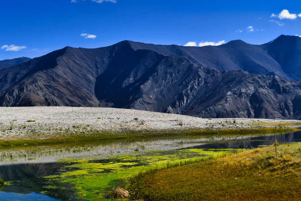 istock Pangong Tso Lake, Ladakh (India) 1439700933
