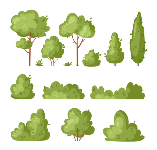 Garden green bush Garden green bush. Vector set of vegetation bushes, grass and trees. Cartoon icon for decorate landscape park, backyard, forest. Spring or summer plant, trees, hedges, shrub with branches and leaves backyard background stock illustrations